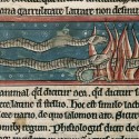Саламандра (Рукопись Британской библиотеки MS Harley 4751, fol. 33v)