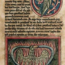 Феникс (Рукопись Британской библиотеки MS Harley 4751, fol. 45r)