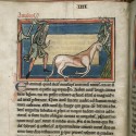 Охотник и анталоп (Рукопись Британской библиотеки MS Harley 4751, fol.5v)
