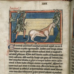 Охотник и анталоп (Рукопись Британской библиотеки MS Harley 4751, fol.5v)