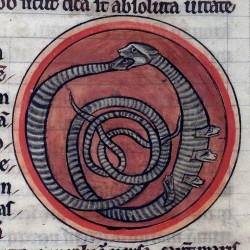 Гадюка (Рукопись Британской библиотеки MS Harley 4751, fol. 60r)