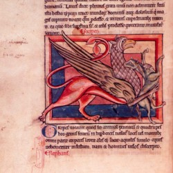 Грифон (Рукопись Британской библиотеки MS Harley 4751, fol. 7v)