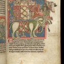 Слон с осадной башней на спине (Рукопись Британской библиотеки MS Harley 4751, fol. 8r)