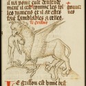 Грифон. Рукопись Национальный библиотеки Нидерландов (KB, 128 C 4, fol. 91r.)