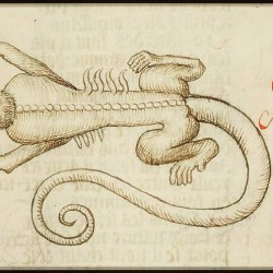 Крокодил. Рукопись Национальный библиотеки Нидерландов (KB, 128 C 4, fol. 96v.)