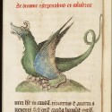 Дракон. Рукопись Национальный библиотеки Нидерландов (KB, 72 A 23, fol. 47v.)