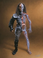 Клингонская анатомия. Иллюстрация Дэна Карри (1998)