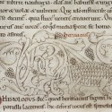 Ёж. Рукопись Бодлеянской библиотеки (MS Laud. misc.247, fol.147v.)