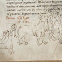 Пантера и дракон. Рукопись Бодлеянской библиотеки (MS Laud. misc.247, fol.154v.)