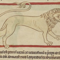Пард. Нортумберлендский бестиарий. Музей Гетти, Лос-Анджелес (MS. 100, fol.25v.)