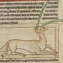 Эал. Нортумберлендский бестиарий. Музей Гетти, Лос-Анджелес (MS. 100, fol.28r.)