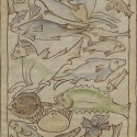 Рыбы и морские чудовища. Нортумберлендский бестиарий. Музей Гетти, Лос-Анджелес (MS. 100, fol.48r.)