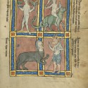 Чудовищные народы. Рукопись музея Гетти в Лос-Анджелесе (MS. Ludwig XV 4, fol.119r.)