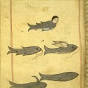 Обитатели моря. Рукопись Национальной библиотеки медицины, Бетесда, США (MS P 2, fol. 53r.)