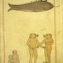 Обитатели острова Саксар. Рыба-пила. Рукопись Нацио­нальной библиотеки медицины, Бетесда, США (MS P 2, fol. 59v.)