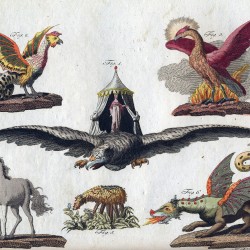 Василиск, феникс, рух, единорог, баранец и дракон на иллюстрации Фридриха Джастина Бертуха