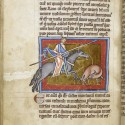 Бобёр. Рукопись Британской библиотеки (Royal 12 C XIX, fol. 10v)