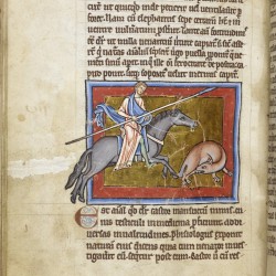 Бобёр. Рукопись Британской библиотеки (Royal 12 C XIX, fol. 10v)