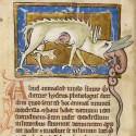 Гидрус убивает крокодила. Рукопись Британской библиотеки (Royal 12 C XIX, fol. 12v.)