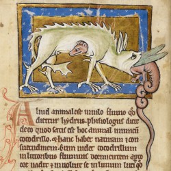 Гидрус убивает крокодила. Рукопись Британской библиотеки (Royal 12 C XIX, fol. 12v.)