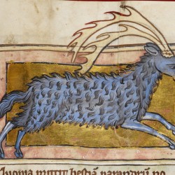 Парандр. Рукопись Британской библиотеки (Royal 12 C XIX, fol. 30r.)