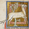 Левкрота. Рукопись Британской библиотеки (Royal 12 C XIX, fol. 37v.)