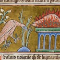 Феникс. Рукопись Британской библиотеки Royal (12 C XIX, fol. 49v.)