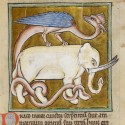 Дракон и слон. Рукопись Британской библиотеки (Royal 12 C XIX, fol. 62r.)