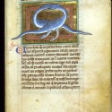 Гадюка. Рукопись Британской библиотеки Royal (12 C XIX, fol. 64r.)