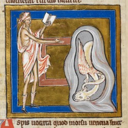 Аспид. Рукопись Британской библиотеки (Royal 12 C XIX, fol. 65v.)