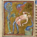 Саламандра. Рукопись Британской библиотеки (Royal 12 C XIX, fol. 68v.)