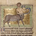 Онокентавр и змея. Рукопись Британской библиотеки (Royal 12 C XIX, fol. 8v.)