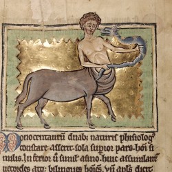 Онокентавр и змея. Рукопись Британской библиотеки (Royal 12 C XIX, fol. 8v.)