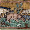 Слоны. Рочестерский бестиарий (Royal 12 F XIII, fol. 11v.)