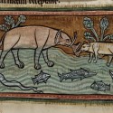 Слоны в реке. Рочестерский бестиарий (Royal 12 F XIII, fol. 13v.)