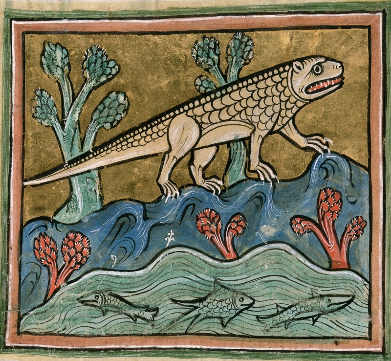 http://www.bestiary.us/files/images/Royal_12_F_XIII_fol24r.preview.jpg
