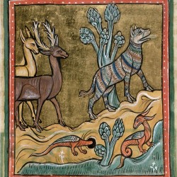 Пантера и дракон. Рочестерский бестиарий (Royal 12 F XIII, fol. 9r.)