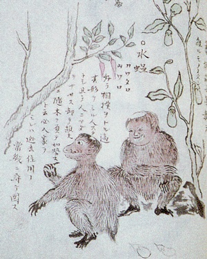 Кэммун. Рисунок Сагента Нагоси из рукописи Нанто-Дзацува (南島雑話), примерно 1850 год