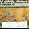 Харадр (Рукопись Британской библиотеки Sloane 278, fol. 34v)