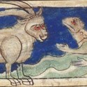 Бонакон. Рукопись Британской библиотеки (MS Sloane 3544, fol. 7r.)