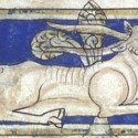 Парандр. Рукопись Британской библиотеки (MS Sloane 3544, fol. 11v.)
