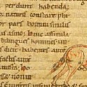 Онокентавр. Рукопись Британской библиотеки (MS Stowe 1076, fol. 1v.)