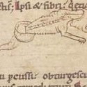 Гидрус убивает крокодила. Рукопись Британской библиотеки (MS Stowe 1076, fol. 2v.)
