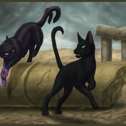 Кошка и нэкомата. Современный рисунок