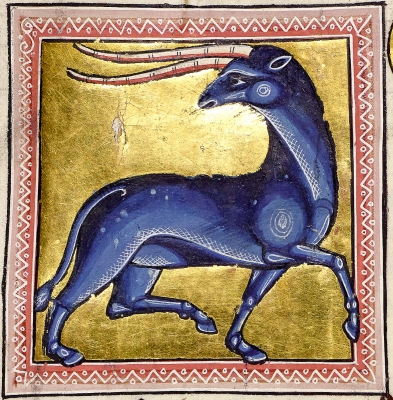 Эал из Абердинского бестиария (MS24; Folio 16v), XII век