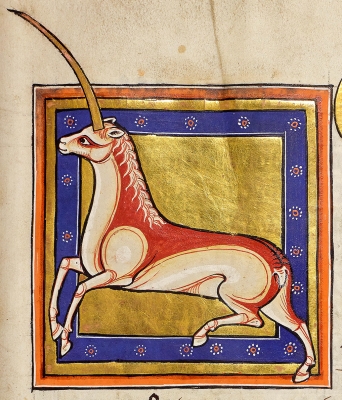 Единорог из Абердинского бестиария (MS24; Folio 15r), XII век