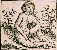 Андрогин-андрони на иллюстрации к нюренбергской хронике 1493 года