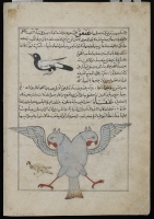 Сорока и  птица Анка. Иллюстрация к трактату Аль-Казвини "Чудеса создания и чудеса существ и и странных существующих вещей"