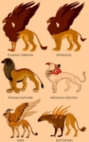 Типы и виды грифонов