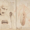 Канима. Разворот из бестиария семьи Арджентов. Иллюстрации Суонна Смита (2014)